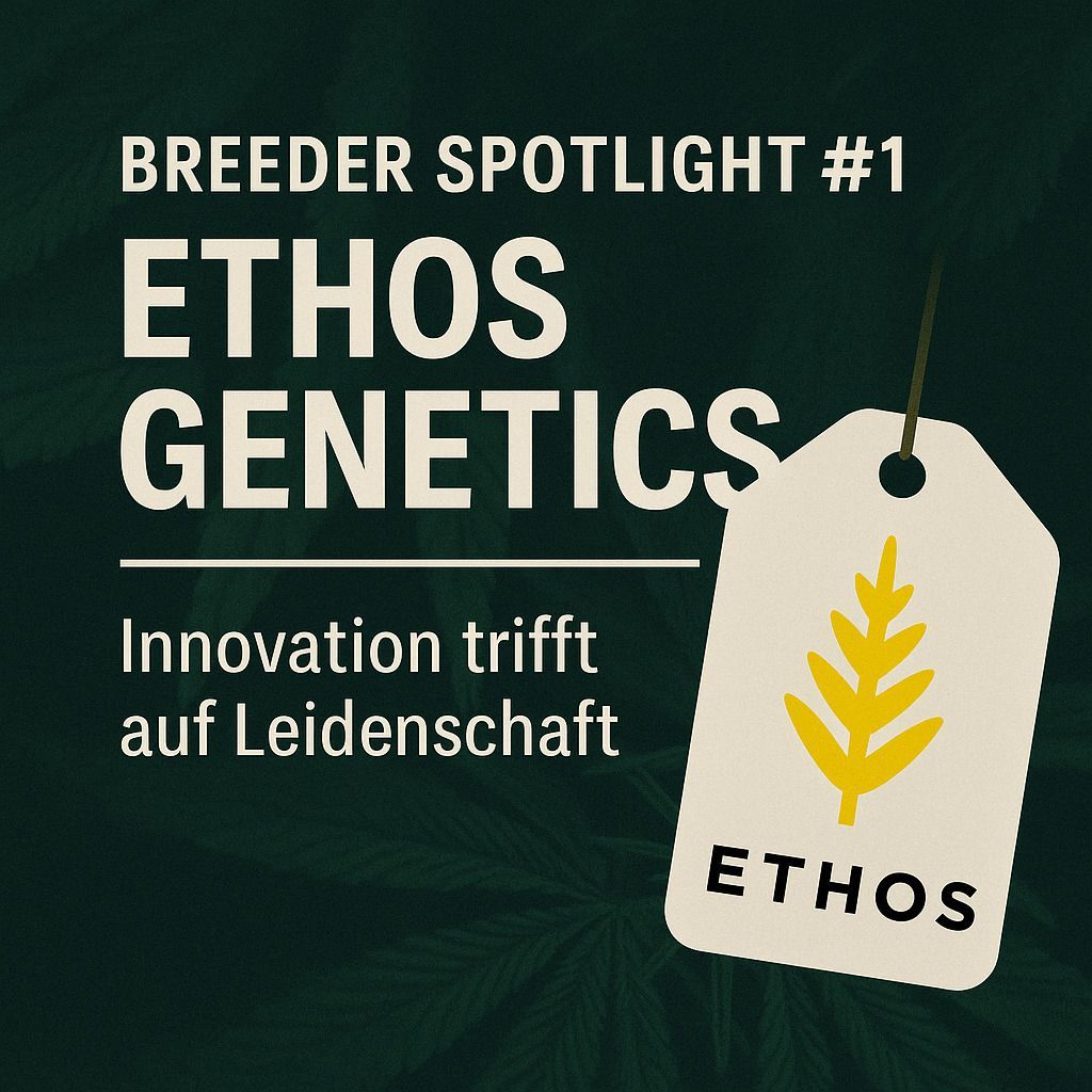 Breeder Spotlight #1: Ethos Genetics – Innovation trifft auf Leidenschaft