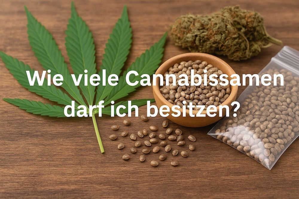 Wie viele Cannabissamen darf ich in Deutschland besitzen?