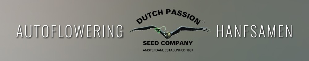 Dutch Passion