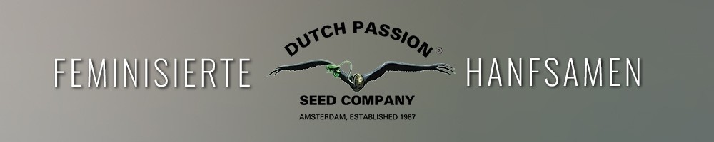 Dutch Passion