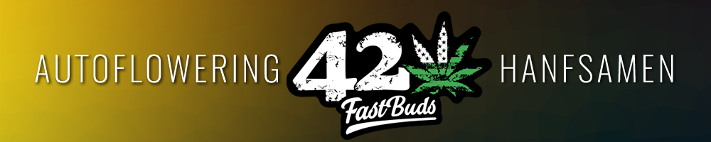 FastBuds