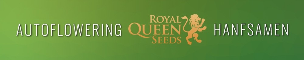 Royal Queen Seeds