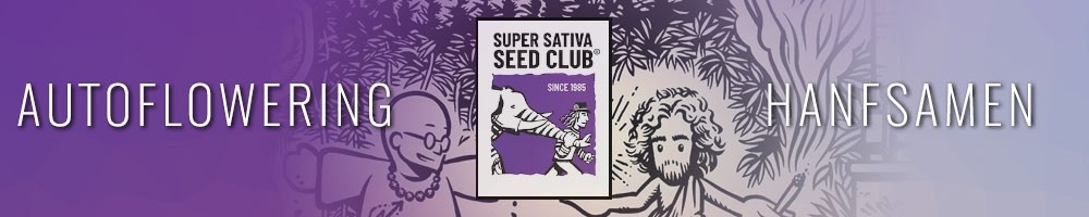 Super Sativa Seed Club