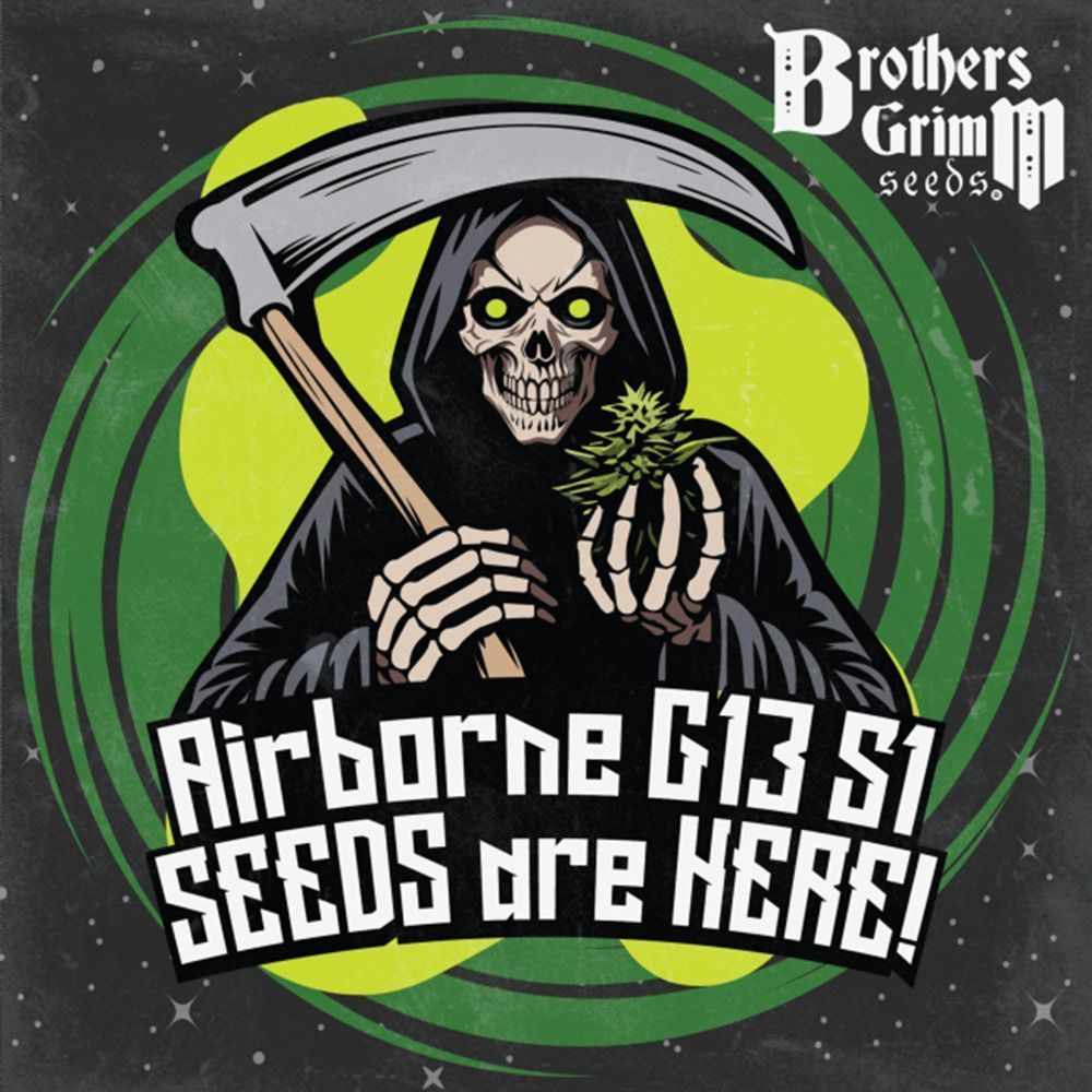 Airborne G13 S1 Feminisiert