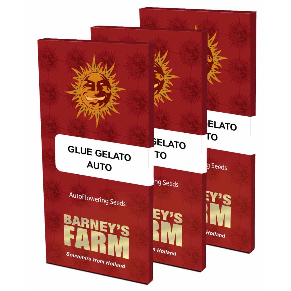 Barneys Farm Glue Gelato Automatic Hanfsamen Verpackung