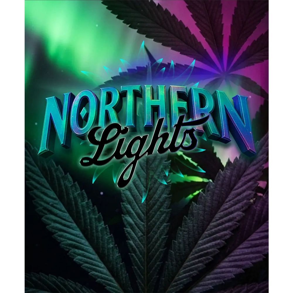 Barneys Farm Northern Lights Feminisierte Hanfsamen
