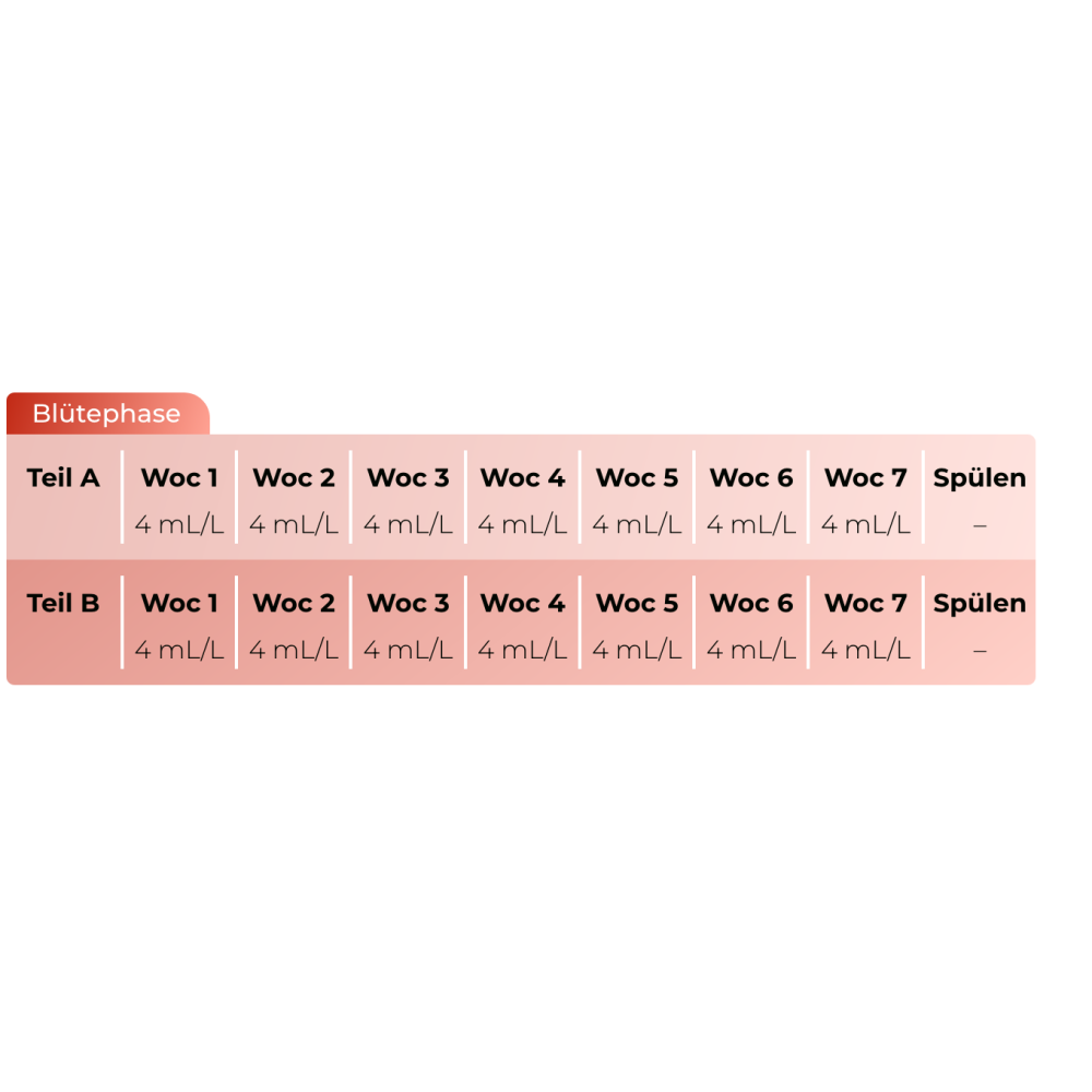 Sensi Bloom A+B Dünger Schema