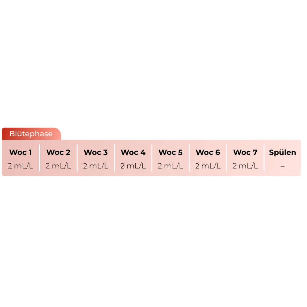 Bud Factor X Dünger Schema