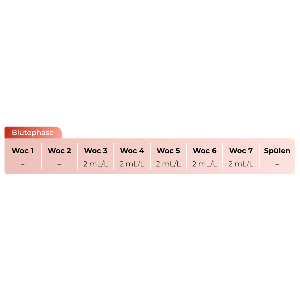 Nirvana (Tasty Terpenes) Dünger Schema