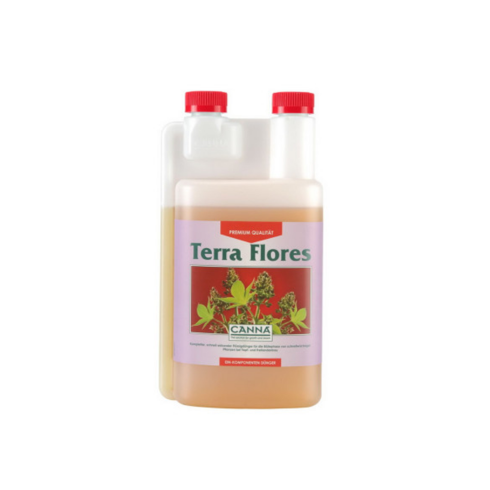 Tera Flores