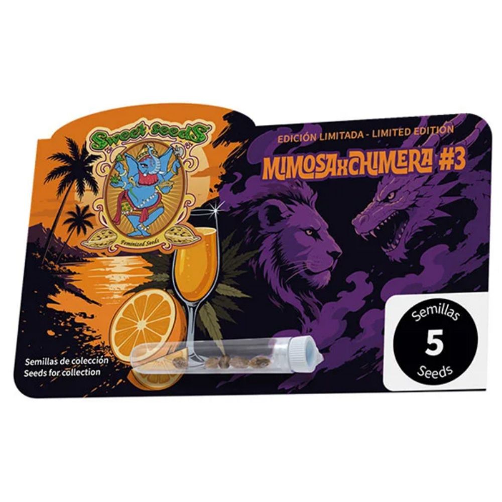Sweet Seeds Super Boof x RS11 Feminisierte Cannabissblüte