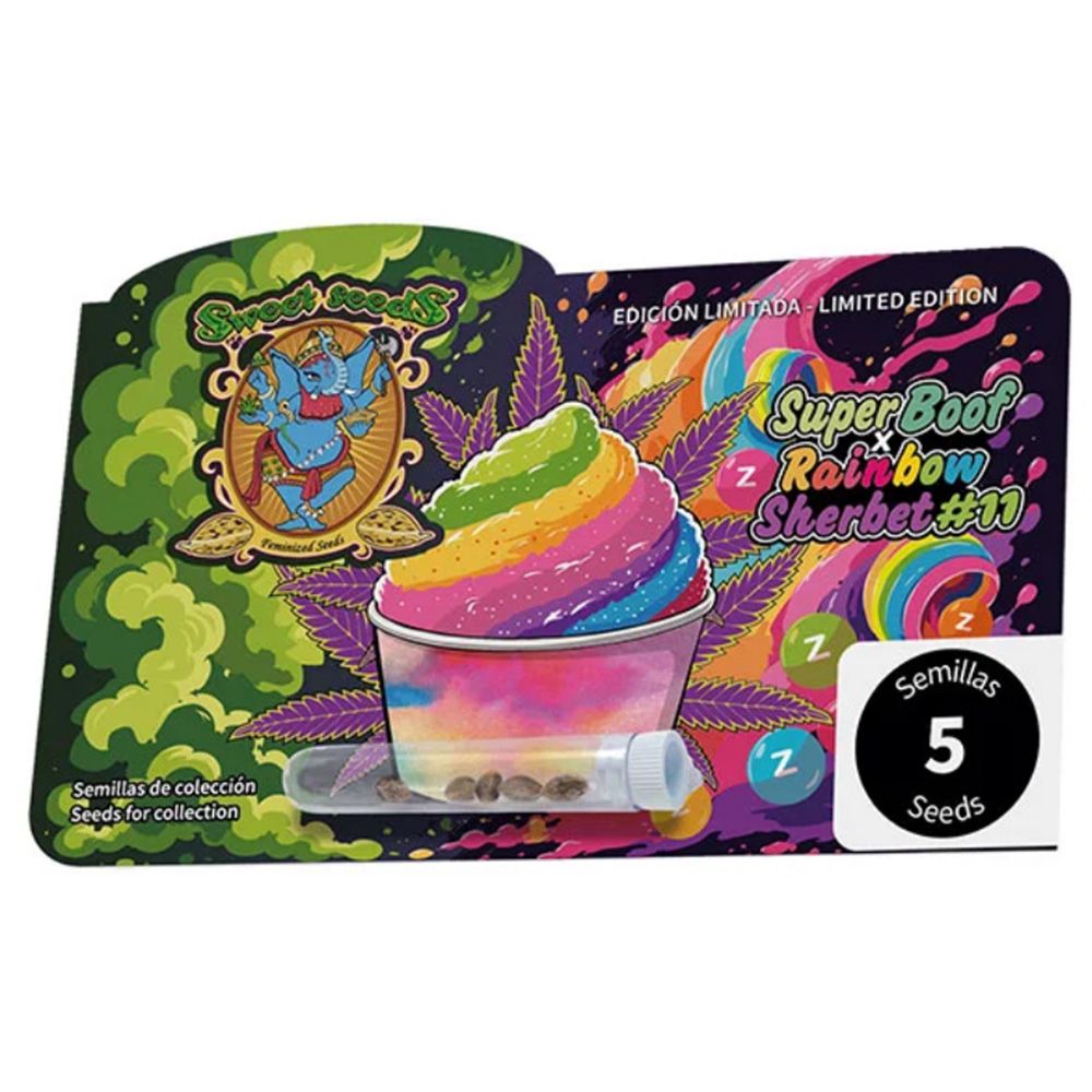Sweet Seeds Super Boof x RS11 Feminisierte Cannabissblüte