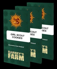 Girl Scout Cookies Feminisiert