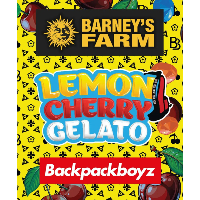 Lemon Cherry Gelato Feminisiert