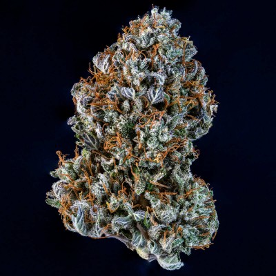 Creme de la Chem Auto