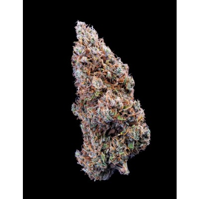 Bubbasquanch Auto