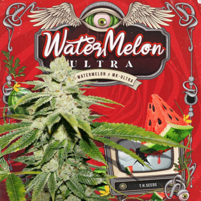 WaterMelon Ultra Feminisiert