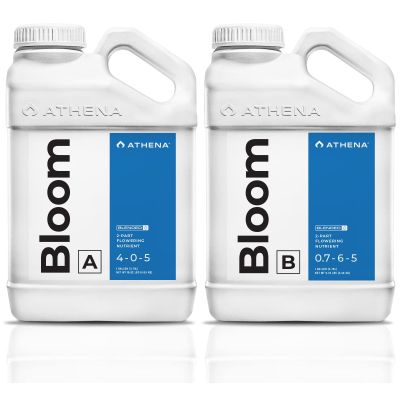 Athena Bloom A&B