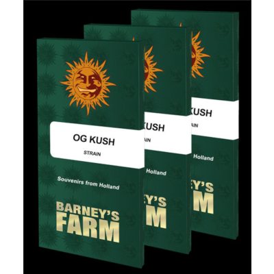 OG Kush Feminisiert