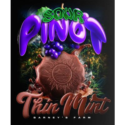 Thin Mint x Sour Pinot Auto