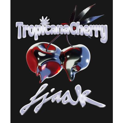 Tropicana Cherry Feminisiert