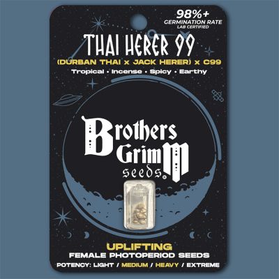 Thai Herer 99 Feminisiert