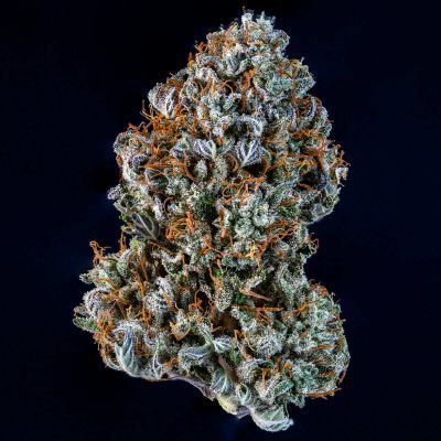 Creme de la Chem Auto