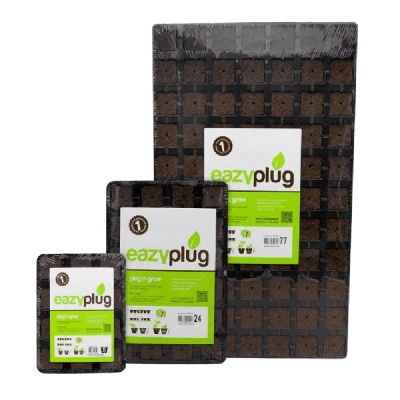 Eazy Plug Anzuchtwürfel Tray 3,6 x 3,6 cm