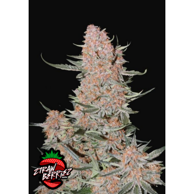 Ztrawberriez Auto