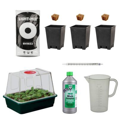 Fensterbank & Balkon Starter Box