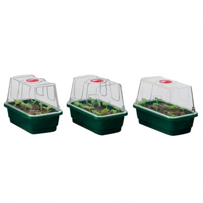 Garland 3x Mini High Dome Gewächshaus 17x10x12.5cm