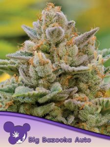 Big Bazooka Auto