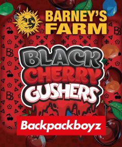 Black Cherry Gushers Feminisiert
