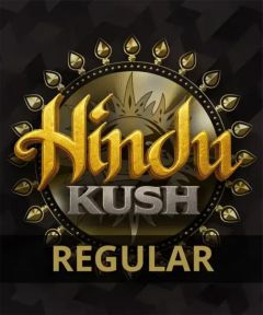 Barneys Farm Hindu Kush Hanfsamen Blüte
