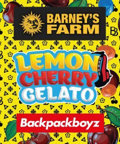 Lemon Cherry Gelato Feminisiert