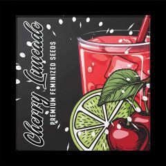Doja Exclusive Cherry Limeade Feminisierte Cannabissamen 