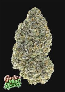 420 FastBuds Banana Purple Punch RF3  Automatic Hanfsamen