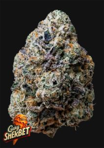420 FastBuds Banana Purple Punch RF3  Automatic Hanfsamen