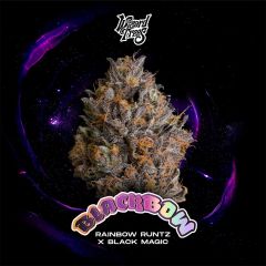 Wizard Trees Black Bow Feminisierte Cannabissamen