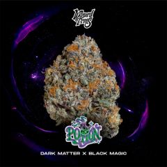 Wizard Trees Potion Feminisierte Cannabissamen