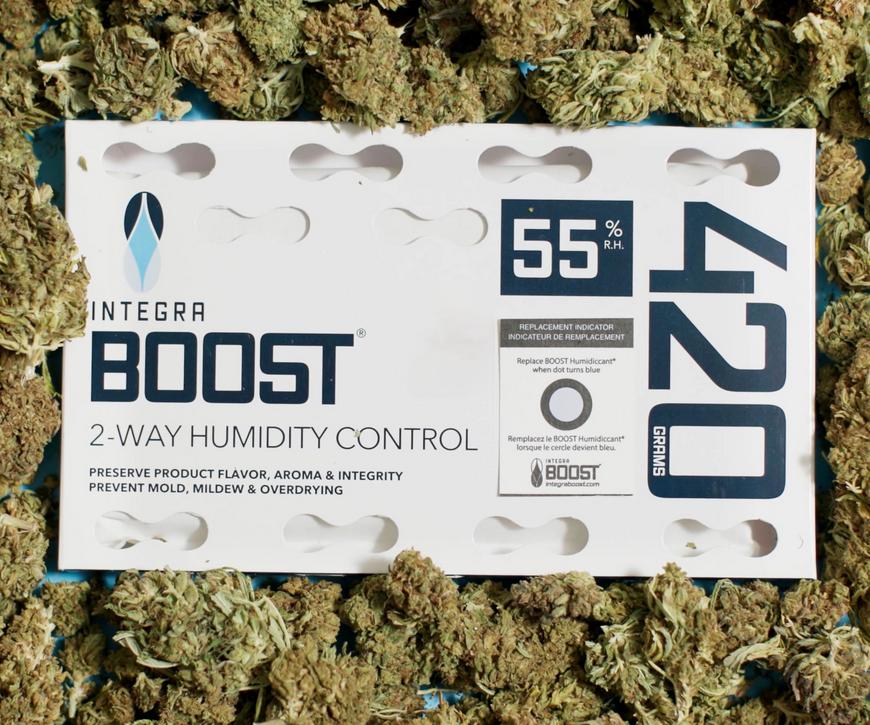 Integra-Boost-Foto-mit-Cannabisbbluten_1